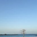 아라파파북촌