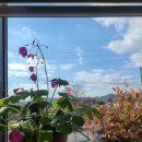 만당식당 이미지