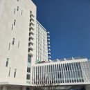 에스케이렌터카 강릉 | [강원 강릉] 겨울 강릉 여행 씨마크 호텔 객실 및 수영장, 조식 후기(내 돈 내산)