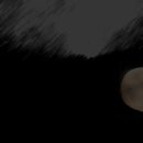 달빛소나타 이미지