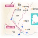 시나브로함구미민박 | '노오란 꽃 터널이 마을을 안았다'