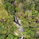 소나무와 호수 이미지