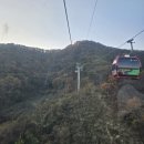 중부-현장-중부-362 | 제천 1박2일 단풍여행 ●청풍호반 케이블카● 24년 11월6일 단풍상황 및 케이블카 할인정보