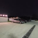 눈이부시개 이미지