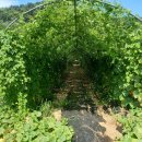 풍년농장 이미지