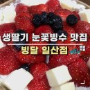 빙달(일산점)