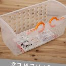 다올1호 이미지