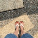 엔담스테이 이미지