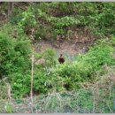 숲속나라 어린이집 이미지