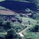 순천-74호 이미지