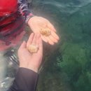 안성이발관 | 7월중순에 떠난 베트남 나트랑 태교여행 여름휴가 3박5일중 4-5일차