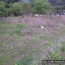 개울가 펜션 이미지