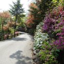 진산자연휴양림 이미지