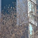 부림초등학교 앞 이미지