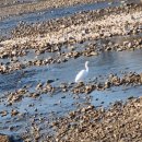 고금석이비인후과의원 이미지