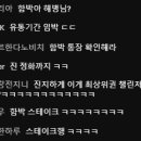 해브리온 이미지