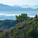 지난 주말의 황매산 이미지