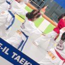 제일경희태권도 이미지