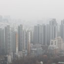 강남-274 이미지