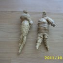 치악농장 이미지