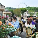 포 쿠치나 이미지