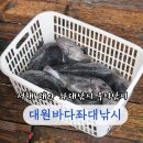 대원카페 | 서해 태안 좌대낚시 대원바다좌대낚시 3월 우럭좌대낚시 후기