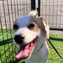 24시 위너스동물의료센터 이미지