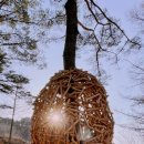 이안숲