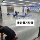 드레곤체육관 이미지