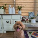 봉곡남로 이미지