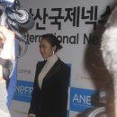 기라성 이미지