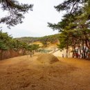 이색선생묘일원 이미지