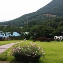 베테랑목장 이미지