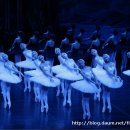 해설이 있는 발레 <백조의 호수> 이미지