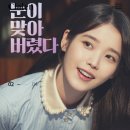 으뜸50안경&위드렌즈 웅천점 이미지