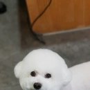 가위소리 이미지
