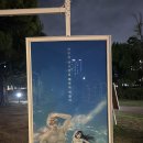 심야공원
