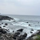 서귀포KAL호텔 이미지