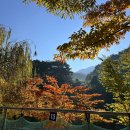 반딧골캠핑장 이미지