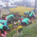 삼랑진읍행정복지센터 이미지