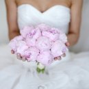 베스트약손 이미지