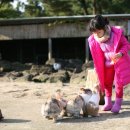 올래놀래 이미지