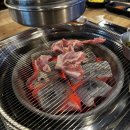 고고돼지 이미지