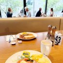 해수한식당 | 호주 2일차_시드니 달링하버 본다이비치 아이스버그수영장 시드니중앙역 대학교 한식당 추천