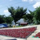 안동추어탕 이미지