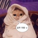 아이엠내과의원 이미지