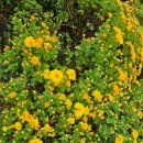 풍류보건진료소 이미지