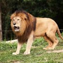 사회적협동조합사람이야기 이미지