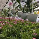 남사농장 이미지