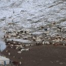 건초사료 이미지